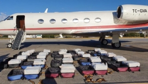 Brezilya'da uyuşturucu yakalanan Türk özel uçağın sahibi kim