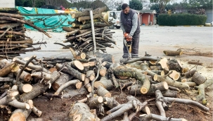 Bakırköy Belediyesinden örnek uygulama