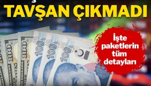 Ekonomide bu kez şapkadan tavşan çıkmadı: İşte açıklanan tüm tedbirler