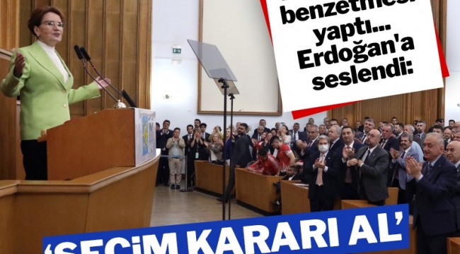 Meral Akşener Erdoğan'a çağrı yaptı: Seçim kararı al