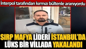 Sırp mafya lideri İstanbulda lüks bir villada saklanırken yakalandı. İnterpol tarafından kırmızı bültenle aranıyordu