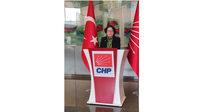 SENEM YILDIRIM CHP SAKARYA MİLLETVEKİLİ ADAY ADAYI OLDU!