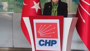 SENEM YILDIRIM CHP SAKARYA MİLLETVEKİLİ ADAY ADAYI OLDU!