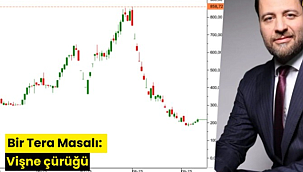 Bir Tera Masalı: Vişne çürüğü