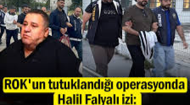 ROK'un tutuklandığı operasyonda Halil Falyalı izi: 'WOLF*' ifşa oldu